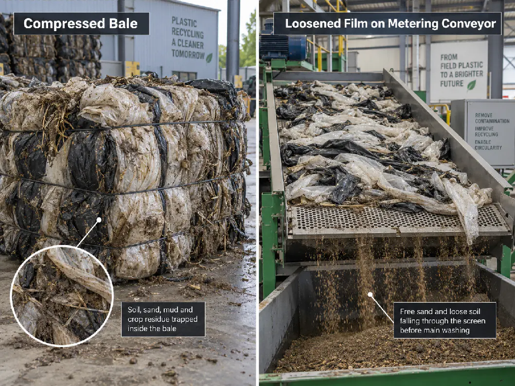 Compressed agricultural film bale with trapped soil next to loosened film on a screening conveyor dropping free sand